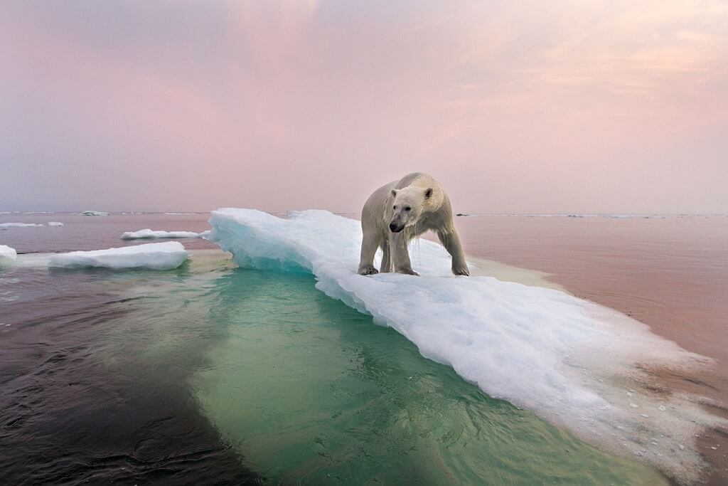 SPEAKING ABOUT THE ARCTIC ICE on the IELTS